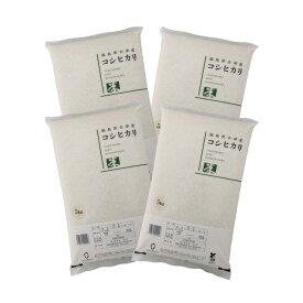 コシヒカリ 福島県 会津産 令和7年産 米 20kg (5kg×4) 白米 精米
