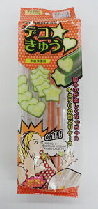 ƒ؉p fRイ 2{ n[g^ ^ e1{yEւ̔zsz