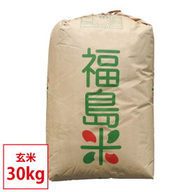 コシヒカリ 福島県 会津産 令和7年産 米 30kg 玄米