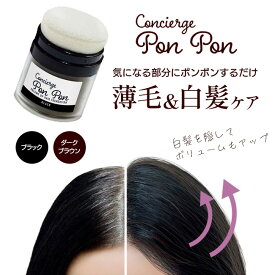 白髪対策 白髪隠し 薄毛隠し ファンデーション パウダー 男性用 女性用 薄毛対策 ファンデ 頭皮 頭皮用 白髪用 黒 茶色 【▲5】/ボリュームアップ頭皮ファンデ