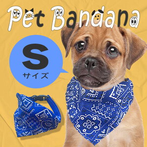 STCY ybg o_i  L q ybgpi ȒP ȒPE TCY߉\ oh hbOEFA ybgp ^ ^ ^ obN 킢  Lp p ANZT[yENz