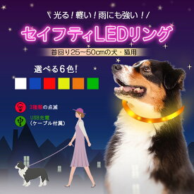 犬 散歩 夜 首輪 光る LED USB充電式 繰り返し使える 生活防水 雨の日 事故防止 安心 安全 点滅 中型犬 小型犬 猫 ペット用品 ドッグ用品 発光首輪 定形外郵便発送【EN】【△】/セイフティLEDリング