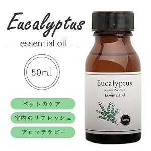  VR100% [JOuXIC R jIC΍  xbg  IC tbV  A} C  ₯ǃPA ybgPA r r y5zyENz/[JOuX