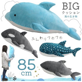 クッション ぬいぐるみ 抱き枕 大きい 約85cm イルカ シャチ ジンベエザメ ホオジロザメ 海の生き物 動物 手触りふわふわ 添い寝 枕 もちもち 癒し 特大 プレゼント 贈り物 水族館 【JKP】/BIGクッション海の生き物