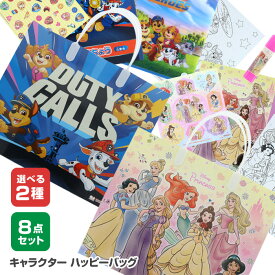 お楽しみ袋 福袋 キャラクター パウパトロール ディズニー プリンセス ハッピーバッグ 選べる 2種 中身が分かる 文具 ステーショナリー 子ども キッズ 女の子 男の子 年末年始 プレゼント ギフト 豪華 【FDC】 【◎80】/ハッピーバッグ
