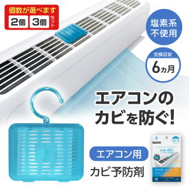 エアコンカビ防止 エアコン防カビ剤 エアコン内部クリーナー エアコン用抗菌スプレー エアコン臭い対策 エアコン除菌消臭 エアコンフィルター除菌 エアコン内部洗浄 エアコン清潔キープ 【▲】/エアコン用カビ予防剤