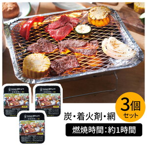 CX^gO  Ă 3Zbg CX^g O o[xL[ BBQ ē R Ă Y Y ΍ Zbg sv ȈՓI y ȒP 1/CX^gBBQO3Zbg