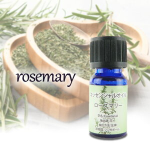 GbZVIC 10ml A} n^Cv VRIC A AJ EH[^[N[ fBt[U[ bNX lC̍ IC bNX^C yz/GbZV