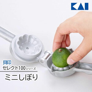 ʏ`i ~jڂ L ZNg100 k ʂȂ Lb` 䏊  t[c ʕ A~ qI  Vo[ ȒP Vv   y5z/ZNg100~j