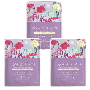 tFCX}XN pbN 3Zbg RX pbN  V[g}XN  ێ Z~h CICA c{NTGLX et pw  yzyENz/NOBANAtFCX}XN3Zbg