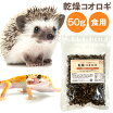 楽天市場 食用 カエルの通販
