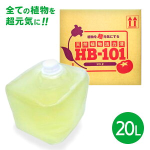 A͍ oCI VR K[fjO K[f  | A ͔| ؍ L@͔| h{ t/t[A͍HB-101t20L