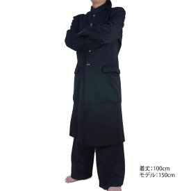 レンタル 学生服 1泊2日 レンタル衣装 女性用 長ラン ドカン 結婚式 余興等に人気の学生服レンタルレンタル 変形学生服 上下 3200【レンタル】