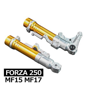 tHcA 250 MF15 MF17 FORZA tgtH[N AE^[`[u |type WA}Eg Vo[ z_ tHcA rNXN XN[^[ JX^ tg TXyV