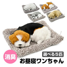 犬 猫 ぬいぐるみ 消臭炭入り リアル インテリア 内装 アニマル 置物 消臭剤 空気清浄 除湿 装飾 誕プレ 動物 誕生日 ふわふわ質感 愛犬家 お昼寝風