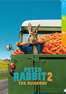 s[^[rbg2 o[ioX̗Uf IG-3409 3|PbgNAt@C