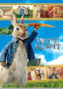 s[^[rbg2 o[ioX̗Uf IG-3408 W|PbgNAt@C