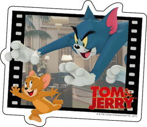 gƃWF[ IS-695 f / _CJbgXebJ[A