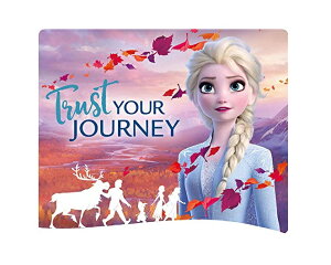 AiƐ̏2 Frozen 2 `FWOXebJ[A IS 528