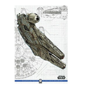 X^[EH[Y STAR WARS / XJCEH[J[̖閾 3D|XgJ[h IJ-72