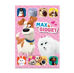 Ajf ybg2 PETS2 _u|PbgNAt@C A4TCY