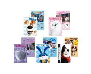 Ajf ybg2 PETS2 ~jNAt@C5Zbg A5TCY