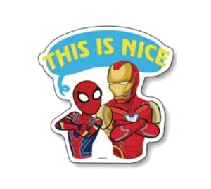 }[x AxW[Y GhQ[ Avengers: Endgame / IS-507 _CJbgXebJ[E (THIS IS NICE)