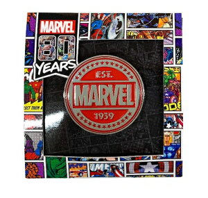 }[x80N MARVEL 80YEARS / sobWA IBA-172