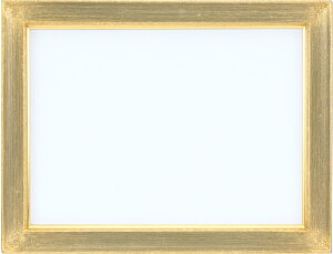 z ʊz Gpz L[gII F50  S[h -Vi