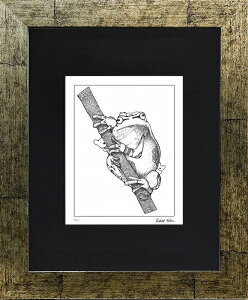 W[N[ŉ zG ROBERT EDWIN uJG2v C`