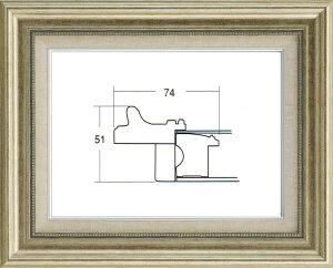 z Gz ʊz t[ UVJbgANt 8111 F6 Vo[ 