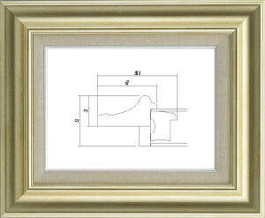 z Gz ʊz t[ UVJbgANt 8117 F6 Vo[ 