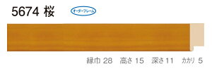 I[_[t[@ʒz@Gz@ʊz@ؐt[@@5674@gTCY 1000@F10@P10@M10@