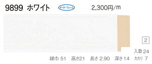 I[_[t[@ʒz@Gz@ʊz@ؐt[@@9899@gTCY 1000@F10@P10@M10@zCg