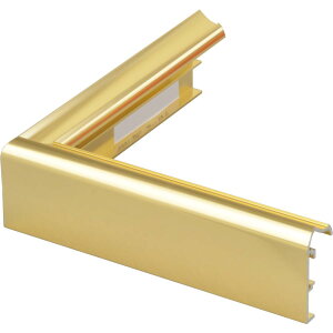 z@G/ʊz A~t[ oWp{  6551 (DX) F40(B1) ` F150 S[h XeF   4,020~`