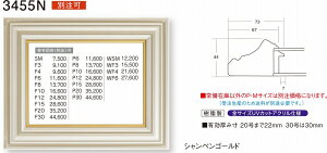�z�� ���G�z�� ���ʊz�� �t���[�� �z���p �A�N�����t 3455N F15�� �V�����y���S�[���h �� 5,860�~�`