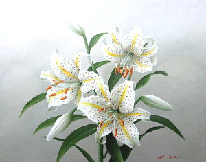 ʉ m (GztŔ[iΉ) F4 ` P6 uRSv c p 44,240~`