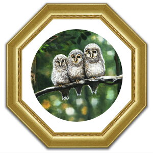 G A[gt[t J^ pz tNE 22-12 S[h zi -Vi