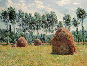 G  LoXA[g E̖V[Y N[hEl uWFj[̐ς݂v TCY SM ` 10