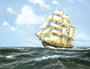 G  LoXA[g E̖V[Y }NK[ u u[EH[^[ v TCY SM ` 10