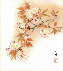 誕生花色紙（誕生花 風水四季花）中村 千春作画「桜（4月）」 色紙寸法24.2X27.2cm