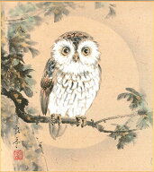 絵画 色紙（年中 その他）今瀬 良亭作画「ふくろう（不苦労）」 色紙寸法24.2X27.2cm