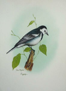 水彩画 「鳥 動物画」 -L6 -新品-特価品