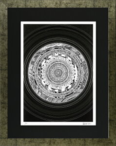 G z fW^ŉ ROBERT EDWIN  uVinyl recordv ߃TCY -Vi