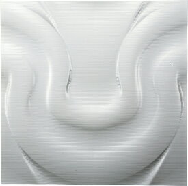 インテリア プラデック ウォール アート 「ビラボン（ホワイト）」 PL-16509-新品