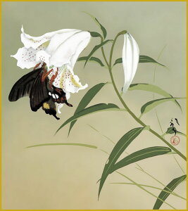 ׃fW^ŉ FH|F 액F F@ 24.2x27.3cm [quSv