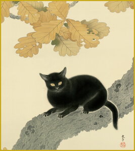 ׃fW^ŉ FH|F 액F F@ 24.2x27.3cm HctuLv