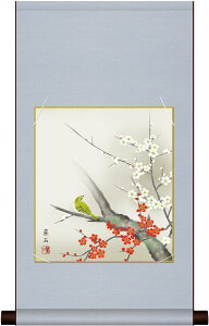 ׃fW^ŉ F|Zbg {̖ F| + F1Zbg F@ 24.2X27.2cm ΁ug~v