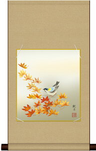 ׃fW^ŉ F|Zbg {̖ F| + F1Zbg F@ 24.2X27.2cm XRόugtv