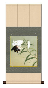 ׃fW^ŉ F|Zbg {̖ F| + F1Zbg F@ 24.2X27.2cm [quSv